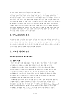 [글로벌경영전략] 대상(주) 미원 인도네시아 진출 전략-8