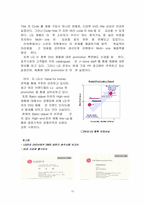[국제경영전략] LG전자(DVD) 호주시장 진출 사례-10