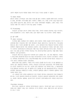 [국제경영정책론] 로만손의 해외진출 분석-6