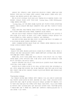 [국제경영정책론] 로만손의 해외진출 분석-7