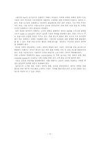 [국제경영정책론] 로만손의 해외진출 분석-17