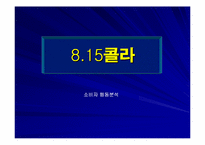 [소비자행동] 815콜라 소비자행동분석-1