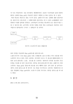 [소비자행동론] LG텔레콤의 이동통신브랜드 `Khai girl`-20
