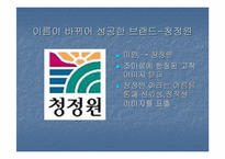 [브랜드네임]브랜드이름에 관한 사례조사-9