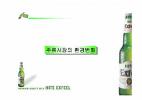 [마케팅전략분석]HITE맥주 엑스필(EXFEEL)의 재포지셔닝전략 방안-4