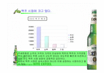 [마케팅전략분석]HITE맥주 엑스필(EXFEEL)의 재포지셔닝전략 방안-5