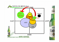 [마케팅전략분석]HITE맥주 엑스필(EXFEEL)의 재포지셔닝전략 방안-12