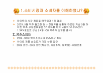[마케팅전략]하이트맥주의 마케팅커뮤니케이션 제안서-4