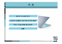 [광고마케팅]삼보컴퓨터(TG)의 마케팅분석 및 광고제안-2