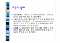 [성매매]매매춘에 대한 조사와 해결방안-2