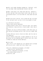 [포르노그라피]포르노에 대한 역사와 문제점과 대처방안-8