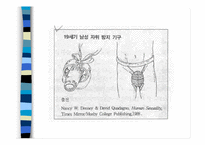 [성심리학]자위행위에 관한 조사-5