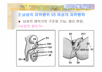 [성과심리]자위행위란 나쁜것인가에 관한 조사-17