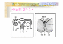 [성과심리]자위행위란 나쁜것인가에 관한 조사-19