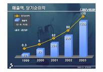 [조직구조론](주)레인콤 `아이리버` 경쟁환경에서의 성공전략-4