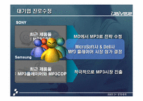 [조직구조론](주)레인콤 `아이리버` 경쟁환경에서의 성공전략-11