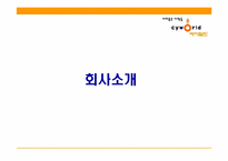 [인터넷마케팅] 싸이월드 마케팅전략-4