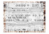 [성심리학]변태성욕에 관한 분석-20