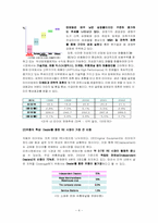 [국제마케팅] 한국타이어의 미주지역 마케팅사례-4