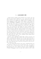 [학사][스포츠마케팅] 국내스포츠시장의 소비자 성향에 관한 연구-3