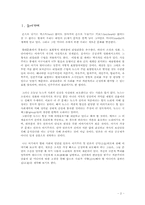 [대중문화]대중언론의 방향성에관한 담론-2