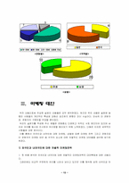 [소비자행동론] ‘난타’에 대한 소비자행동 분석 및 대안-13