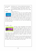 [마케팅분석] 생리대 `템포` 마케팅분석-12