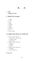 [마케팅전략] 보보스족을 타겟으로 한 마케팅 전략-13
