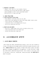 [소비자분석] 버거킹 소비자행동분석-4