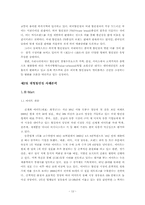 [소비자행동] 대형할인점 소비자행동 분석- 이마트,월마트, 까르푸비교분석-12