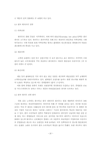 [소비자행동] 대형할인점 소비자행동 분석- 이마트,월마트, 까르푸비교분석-20