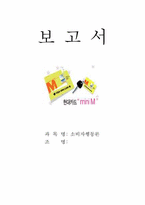 [소비자행동] `현대카드M 미니` 소비자분석-1