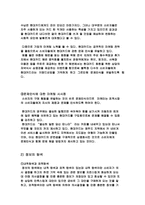 [소비자행동] `현대카드M 미니` 소비자분석-11