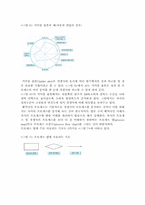 [경영관리]벤치마킹이란 무엇인가(유형 및 사례)-11