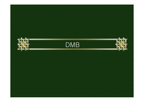[정보 시스템론] DMB-1