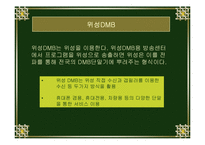 [정보 시스템론] DMB-3