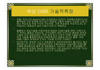 [정보 시스템론] DMB-9