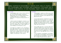 [정보 시스템론] DMB-13