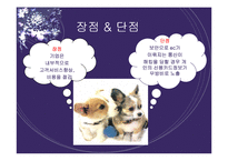 전자상거래 레포트-7