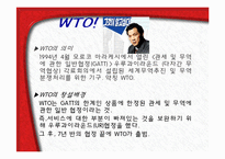 [국제통상] 세계무역기구(WTO)-3