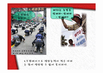 [국제통상] 세계무역기구(WTO)-9