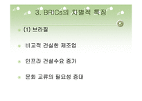 [국제통상] BRICs 국가들의 경협 현황-7