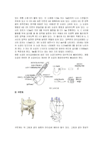 [일반물리학실험] 길이 및 곡률반경 측정-2