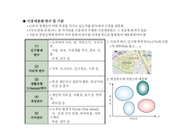 [경영학] STP(Segmentation, Targeting, Positioning)전략-4