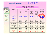 [마케팅] 비알코리아㈜ - 배스킨 라빈스 분석-9