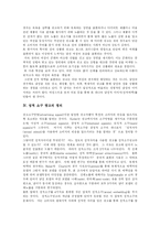 [광고] 광고와 성 및 성적 소구 광고 사례 분석-3