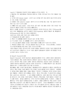 [광고] 광고와 성 및 성적 소구 광고 사례 분석-7