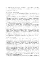 [광고] 광고와 성 및 성적 소구 광고 사례 분석-8