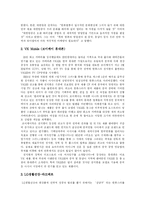 [한류열풍] 한류열풍의 배경, 문제점과 각 나라의 한류 고찰 및 한류활용 성공 사례 분석-9