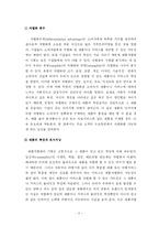 [마케팅] 프리미엄브랜드를 통한 차별화전략에 대한 연구-6